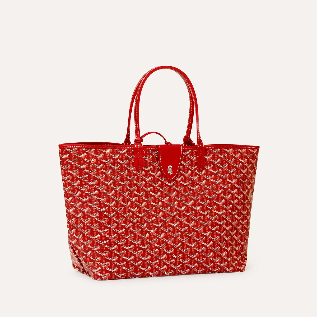 Saint Luis PM Bag