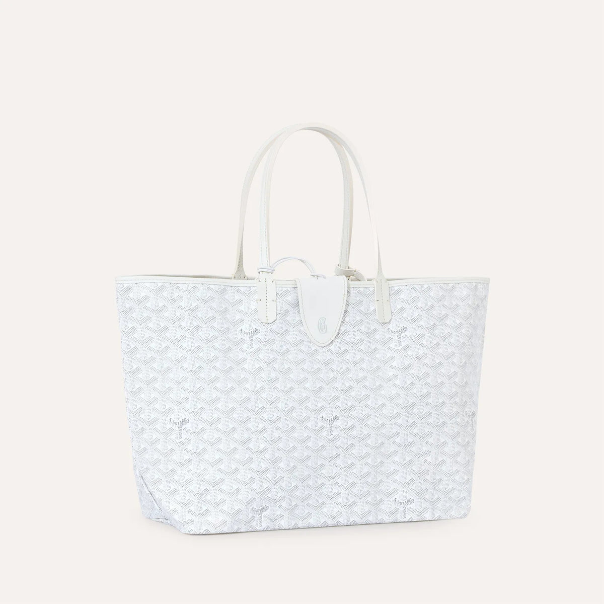 Saint Luis PM Bag